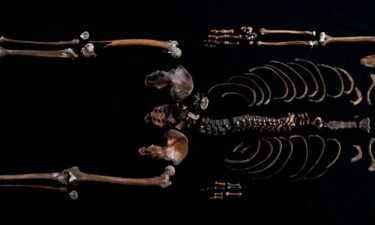 Multiple excavations have helped researchers piece together Well-man's skeleton.