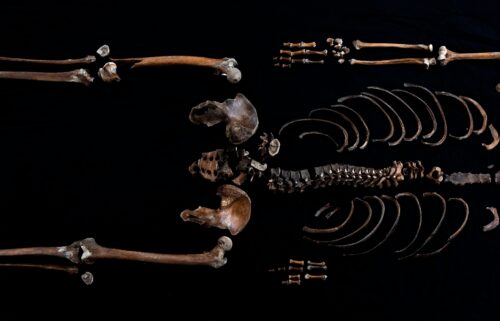 Multiple excavations have helped researchers piece together Well-man's skeleton.