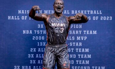 Dwyane Wade's statue went viral after its unveiling on October 28.