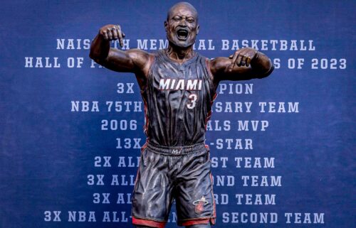 Dwyane Wade's statue went viral after its unveiling on October 28.