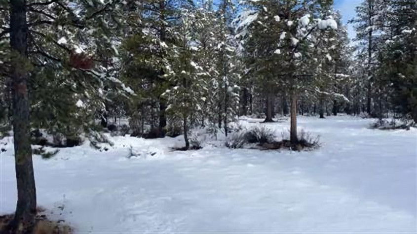 Abandoned La Pine homeless camp cleanup