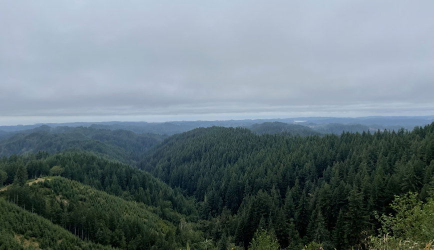 he Elliott State Forest is among the first state-owned forests in the western United States to be entered into a carbon market.