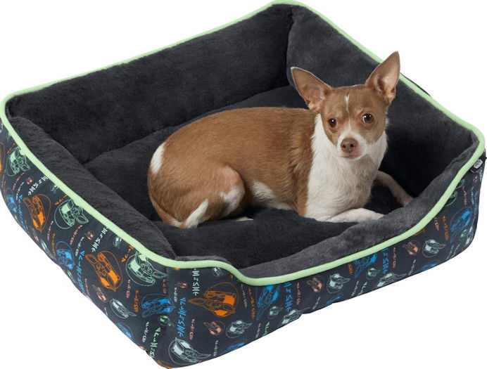 Free pet beds will be given out on Thanksgiving to families in need.