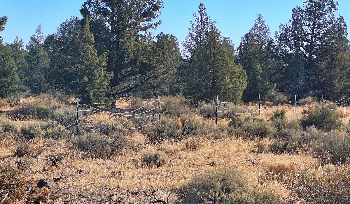 Vandals cut nearly a mile of boundary fence on BLM property west of Redmond in September