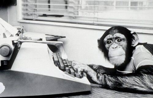 Researchers from Australia have rejected the Infinite Monkey Theorem as "misleading."