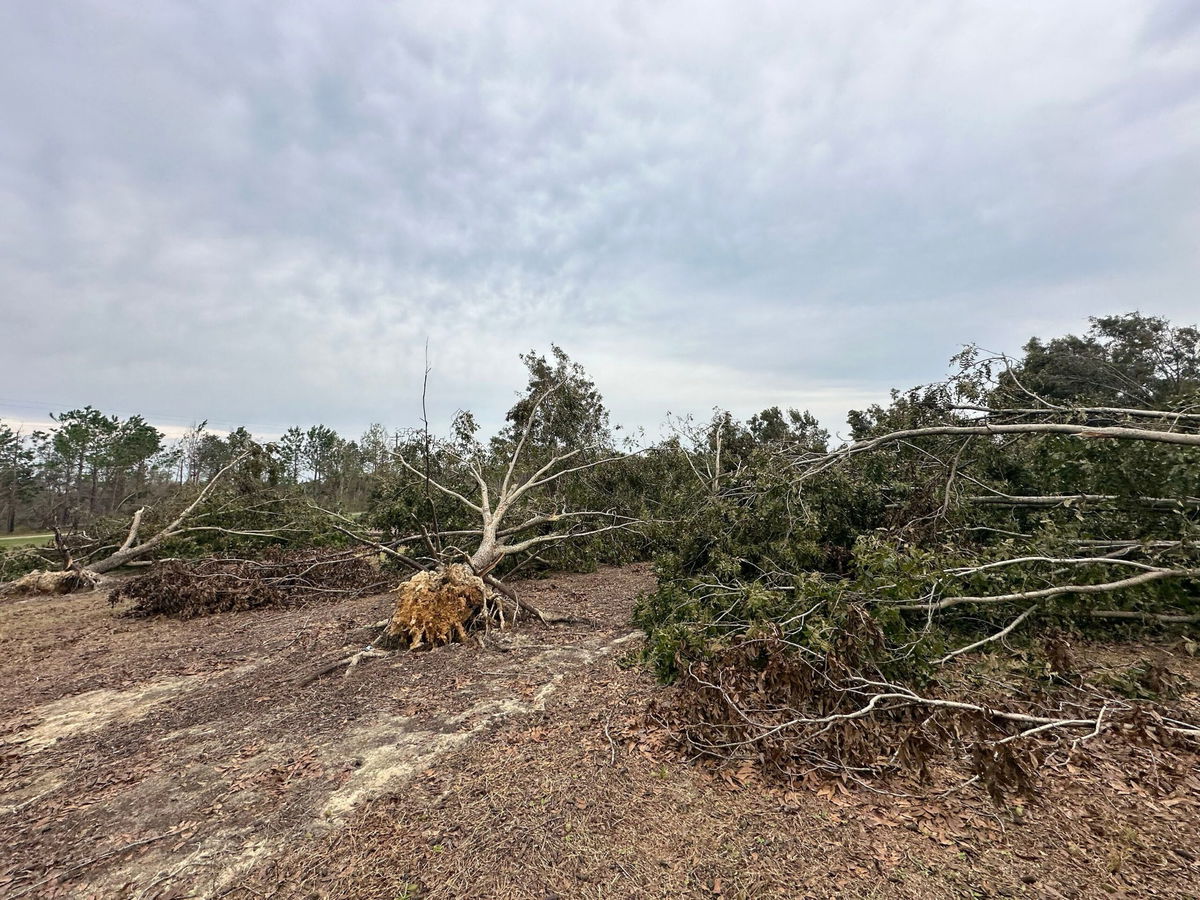 <i>Georgia Department of Agriculture via CNN Newsource</i><br/>Hurricane Helene affected at least 48