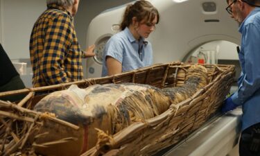 Researchers at the Field Museum scan a mummified individual displayed in the "Inside Ancient Egypt" exhibition.