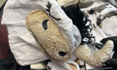 A methamphetamine-soaked cow onesie was seized at Los Angeles International Airport on November 6 after a passenger tried to check it on a flight from Los Angeles to Sydney