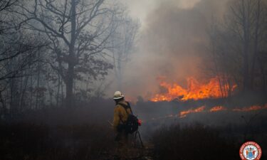 New Jersey firefighters have been battling a spate of wildfires.