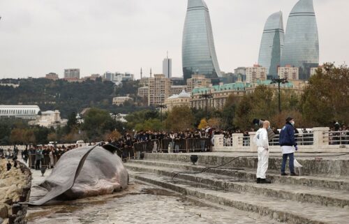 Thousands have gathered to see the beached whale installation