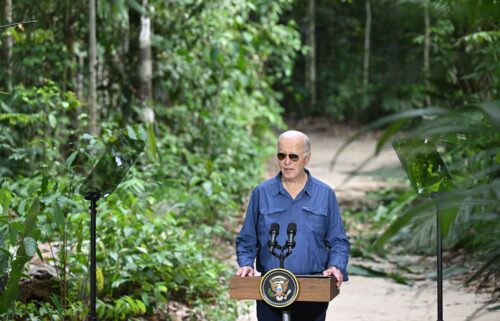 President Joe Biden speaks during a visit to the Amazon rainforest in Manaus