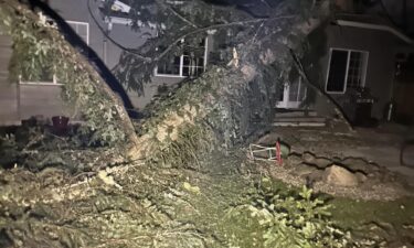 A tree fell on Rob Corcoran's home in Lake Tapps