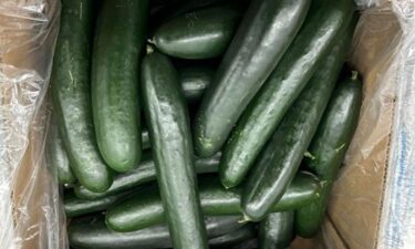 SunFed Produce announced it's recalling fresh cucumbers distributed in the US and Canada after the US Food and Drug Administration notified it about illnesses from salmonella contamination.