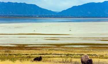 Why the largest lakes in the US are essential to the economy and environment