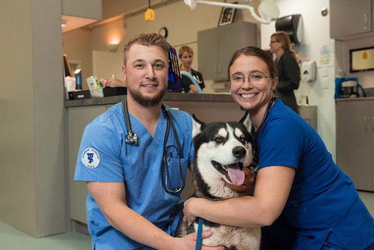 COCC's pet food drive will benefit Redmond’s BrightSide Animal Center.