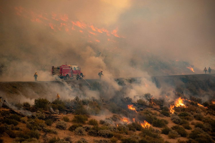 The Rail Ridge Fire south of Dayville in Grant County scorched more than 135,000 acres.