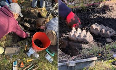 A complete mastodon jaw was unearthed in the backyard of a residential home near Scotchtown