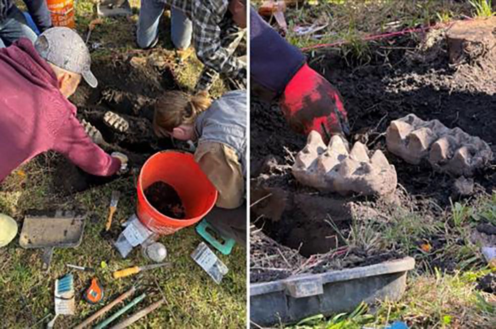 <i>New York State Museum via CNN Newsource</i><br/>A complete mastodon jaw was unearthed in the backyard of a residential home near Scotchtown