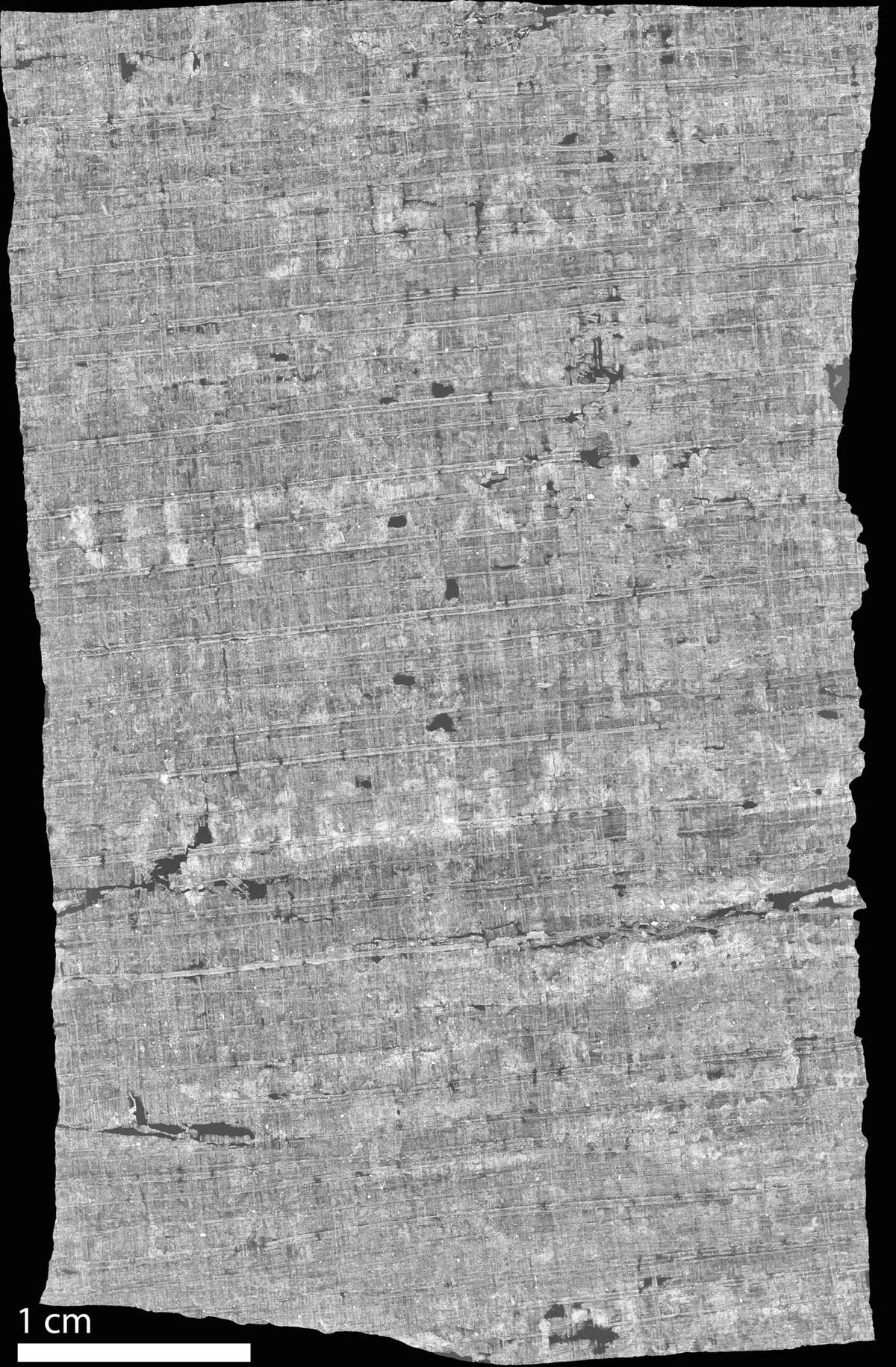 <i>Vesuvius Challenge via CNN Newsource</i><br/>Greek text is visible in a segment of the newly scanned scroll.