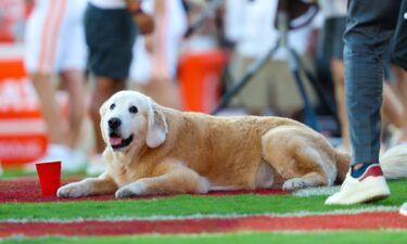 Ben on the field in prior to Oklahoma Sooners and Tennessee Volunteers contest in September.