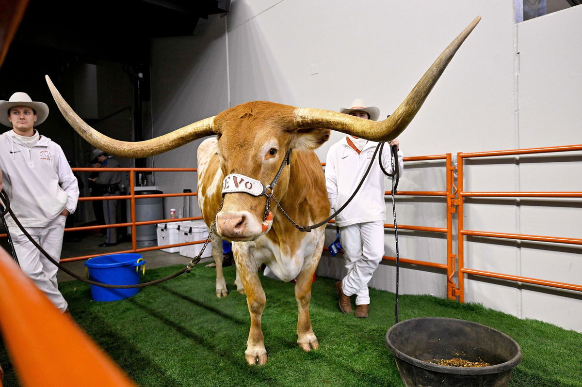 <i>Jerome Miron/USA Today Sports/Reuters via CNN Newsource</i><br/>Bevo is sitting out Saturday's SEC championship game in Atlanta because of lack of space on the sideline at Mercedes-Benz Stadium.