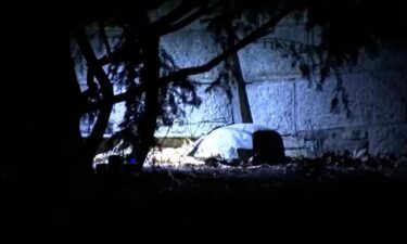 A still image from a video shows NYPD in New York's Central Park