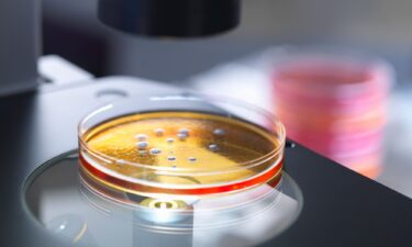 It's not currently possible to create mirror bacteria