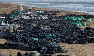 Volunteers work to clear spilled oil on the Russian coastline in the Kerch Strait