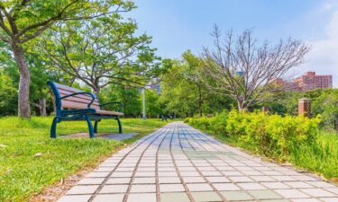 Some people in Taiwan are marking the arrival of 2025 in an unusual way — by crying. The Da'an Forest Park in Taipei