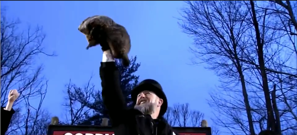 how to see punxsutawney phil on groundhog day 2025