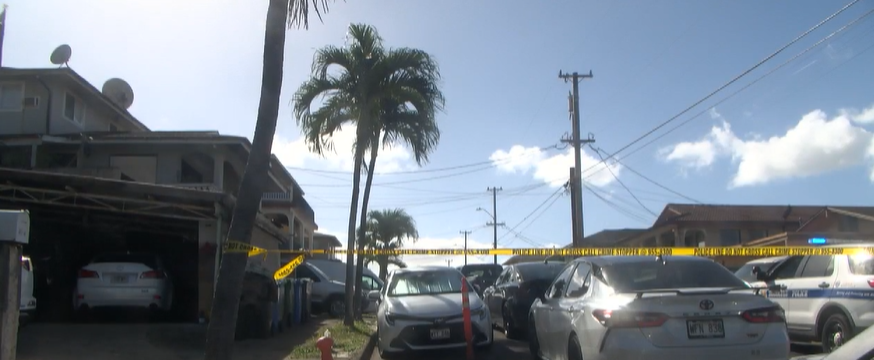 <i>KITV via CNN Newsource</i><br/>A New Year's Eve fireworks explosion in Aliamanu has resulted in at least three dead and 22 critically injured.
