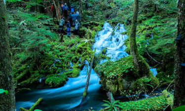 Olallie north spring1 UO