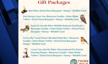 Think Wild Valentine's gifts