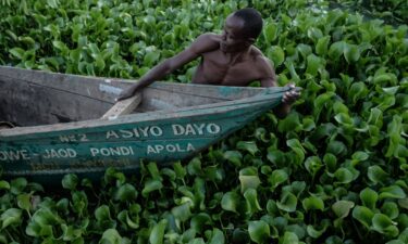 A 2018 image of a fisherman struggling to navigate through the waters of Lake Victoria