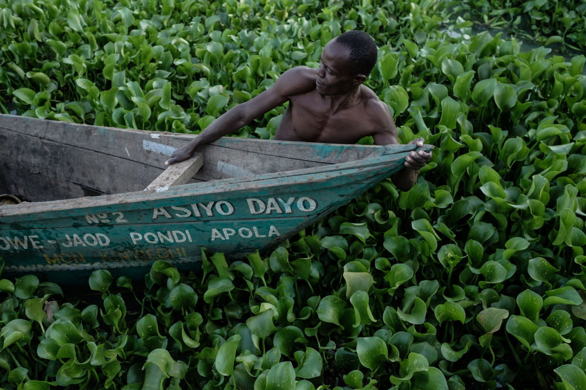 <i>Yasuyoshi Chiba/AFP/Getty Images via CNN Newsource</i><br/>A 2018 image of a fisherman struggling to navigate through the waters of Lake Victoria