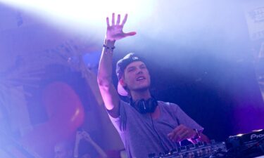 Avicii was a globally successful DJ and producer.