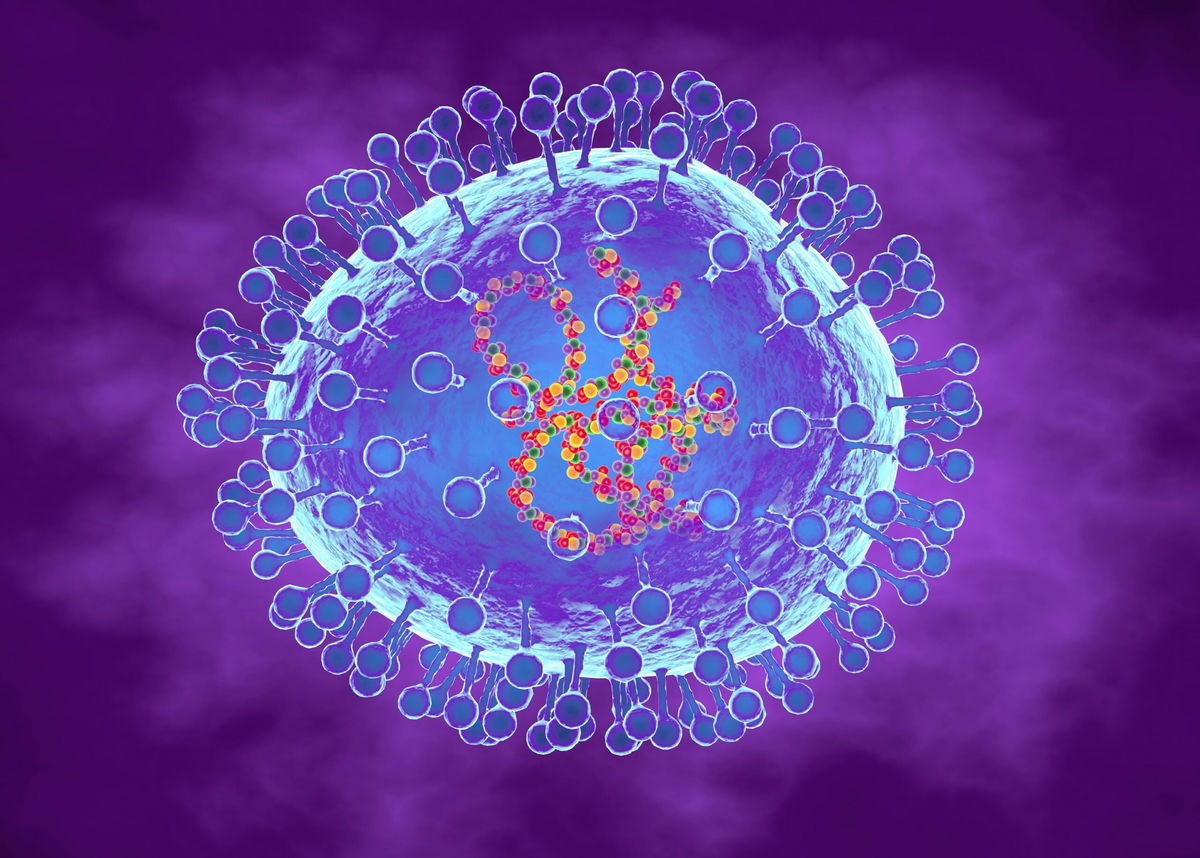 <i>Roger Harris/Science Photo Library RF/Getty Images via CNN Newsource</i><br/>Human metapneumovirus is a respiratory virus