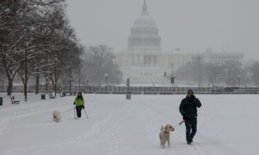 People walk dogs along the National Mall in Washington