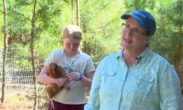 Yemassee farmer Fran Mosher said the egg shortage at grocery stores has been helping her family's business.