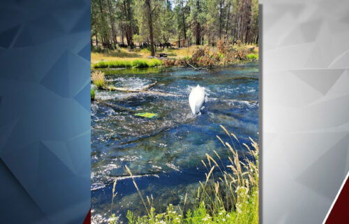 Capsized canoe on the Deschutes River