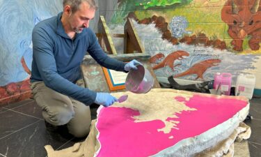 A 200-million-year-old slab of rock has been found to have 66 fossilized dinosaur footprints from the Early Jurassic. The rock was on display at an Australia high school for 20 years.