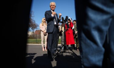 Trump administration trade adviser Peter Navarro speaks to press outside the White House earlier this month.
