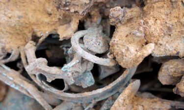 Tangled Iron Age metalwork can be seen sticking out of the block that was excavated in 2022.