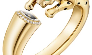 Cartier's Panthère watch features the brand's iconic panther mid-pounce.