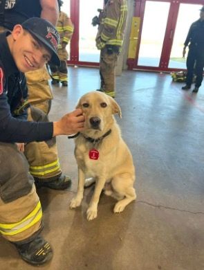 <i>KTVT via CNN Newsource</i><br/>Riggs went missing May 2 after storms swept through the area. Firefighters last saw him at Station #1 around 2:45 p.m.