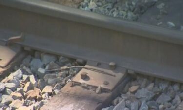 A man trying to retrieve his dog has died after he was struck by a train in Fort Worth on May 20