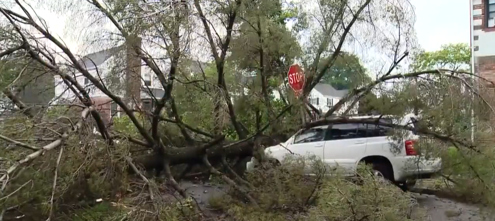<i>WJZ via CNN Newsource</i><br/>Baltimore County Police are warning residents about contractor scams that take advantage of customers needing repairs following damaging storms.