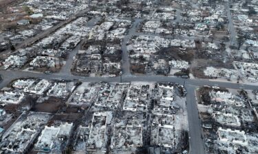 Burned cars and homes in a neighborhood were destroyed by a wildfire in August 2023 in Lahaina