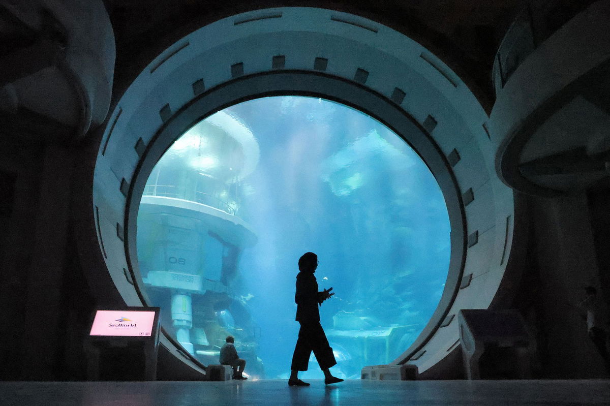 <i>Karim Sahib/AFP/Getty Images via CNN Newsource</i><br/>People tour at SeaWorld