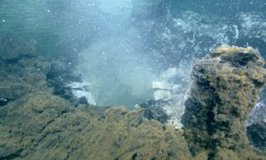 White clouds of microbial waste billow from the seafloor.